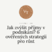 Jak zvýšit příjmy v podnikání: Strategie pro stabilní růst
